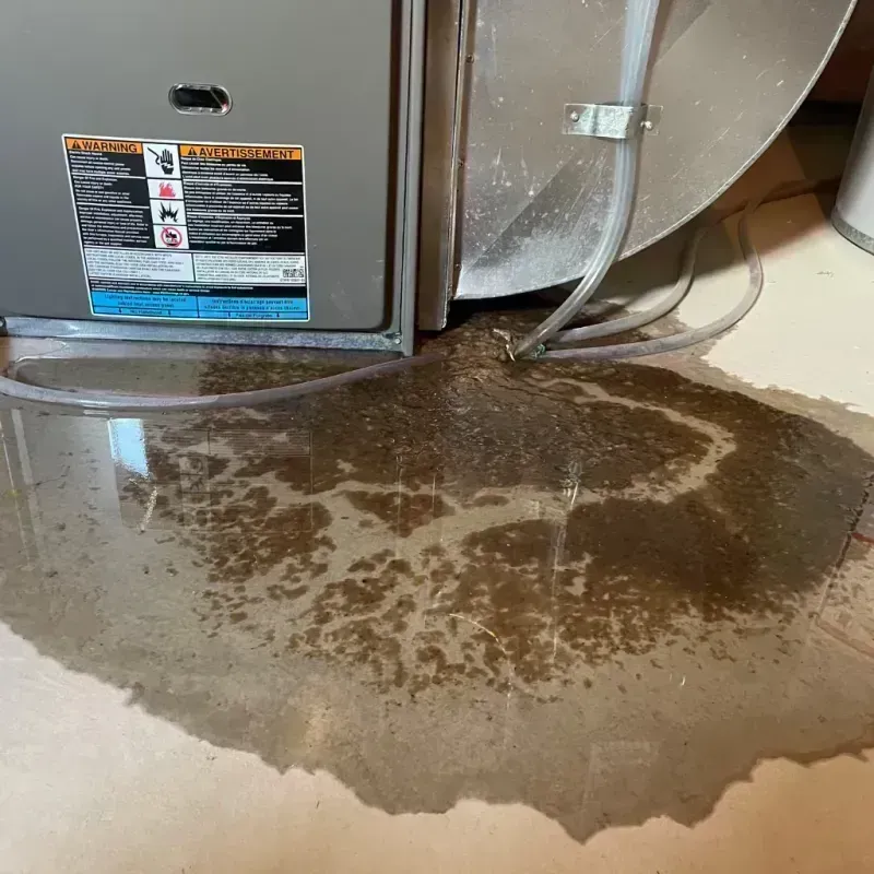 Appliance Leak Cleanup in Marshall, AK